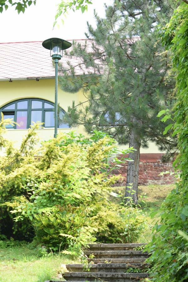 巴拉顿诺尔马迪Arnyas Park Apartmanhaz住宿加早餐旅馆 外观 照片
